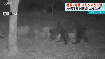 A bear appears again in the place where it was exterminated Reflected in a camera installed by Sapporo city City calls attention Minami Ward, Sapporo City