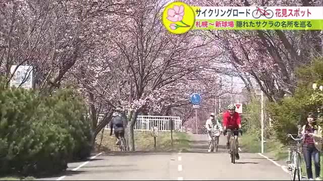 札幌から新球場「エスコンフィールドHOKKAIDO」まで 自転車でサクラを楽しむ…サイクリング…