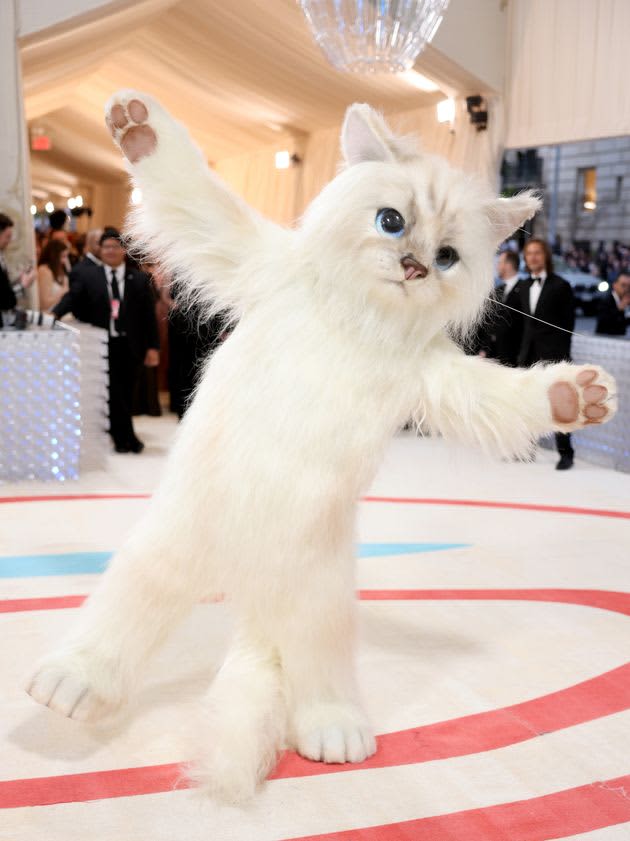 A giant white cat appears at the Met Gala.Are you nyan?