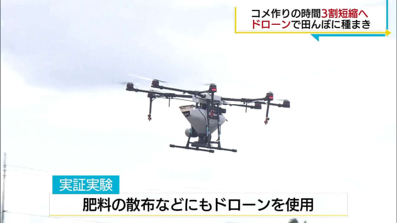Measures against labor shortage Sowing seeds in rice fields with drones (Fukushima)