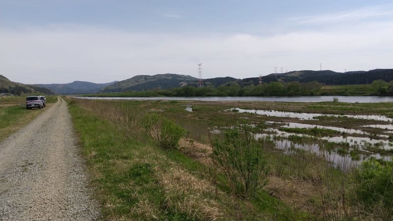 A man in his 50s who was fishing cherry trout was swept away and died in the Yoneshiro River in Noshiro, Akita.