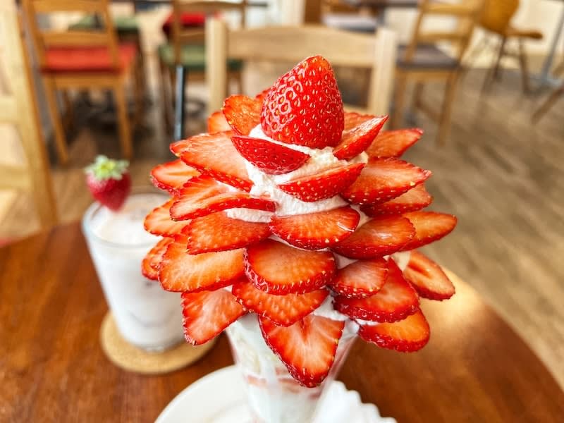 三郷市「フルーツカフェ イチナ」まるで花びら！何層にも重なる苺パフェが絶品です。