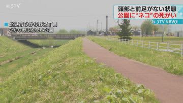 頭部や前足がない状態　ネコとみられる動物の死がい放置　公園の遊歩道　北海道・北見市