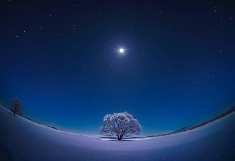 You can learn while experiencing the earth and space!Photo exhibition "KAGAYA starry sky world exhibition The sky captured by the camera ...