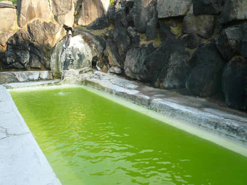 岩手・雫石温泉郷「国見温泉石塚旅館」5月中旬から、わずか半年限定の営業！鮮やかな黄緑色の天然の湯