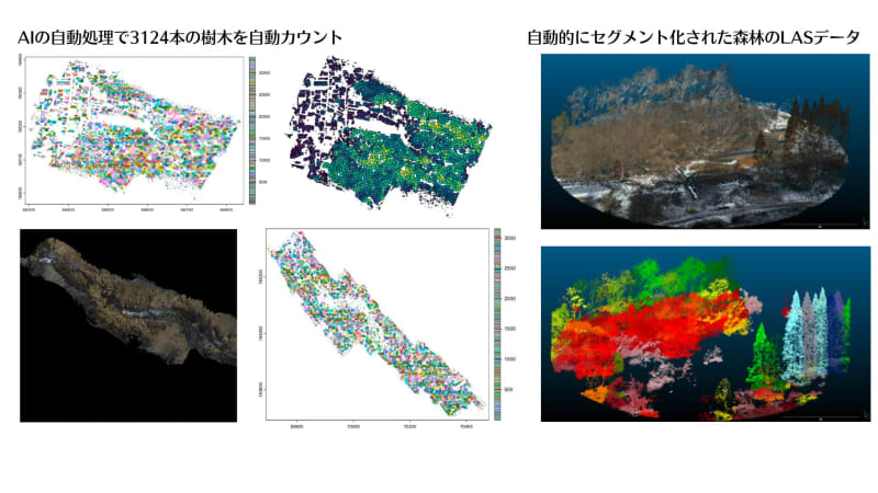 APEX、ドローンやVTOLで取得した森林のデータ（写真、点群）を自動判読するAI開発
