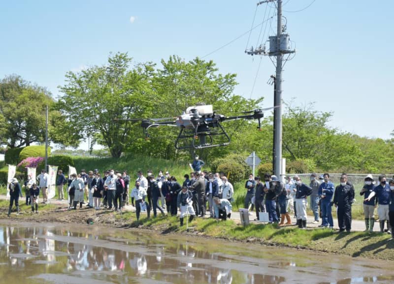Sowing seeds with a drone Ibaraki/JA Inashiki Trial to reduce the burden on rice farmers