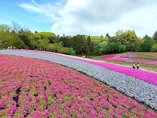 【埼玉】GW期間中にみんなが読んだ注目記事・BEST10（5月1日-5月7日）