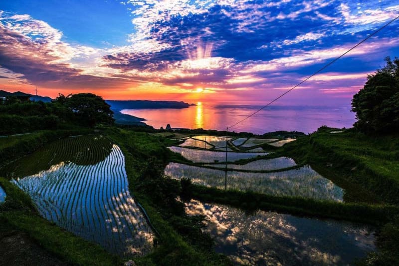 Yamaguchi "Higashigohata Terraced Rice Fields" Starry sky, sea and fishing lights.A superb view of early summer reflected on the water surface of the rice field like stained glass! From mid-May