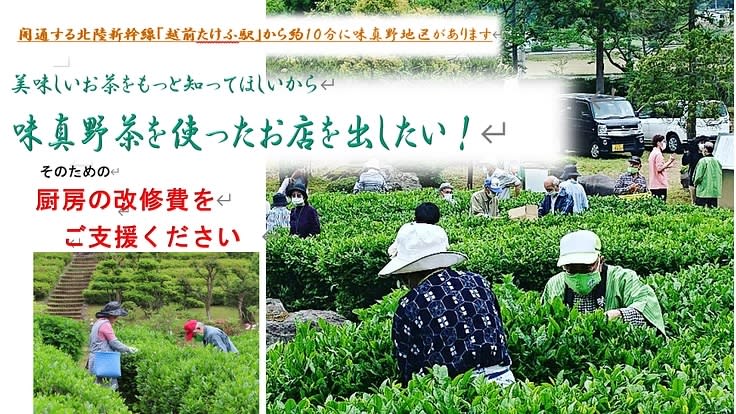 福井県越前市の特産「味真野茶」の茶屋を開きたい　クラウドファンディング開始