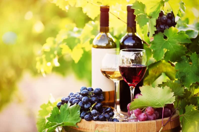 日本酒はワインと同じ醸造酒。蒸留酒や、その他のお酒との違いについても紹介