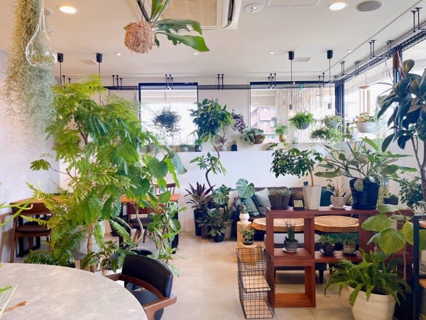 [Minoh] Specialty coffee and handmade muffins at "izumo cafe"