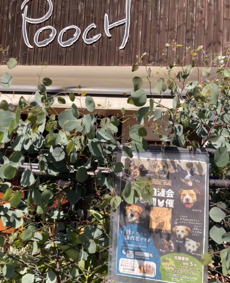 [Kamakura Gourmet Report] cafe-meshi PoocH – Cafe Meshi Ichi…