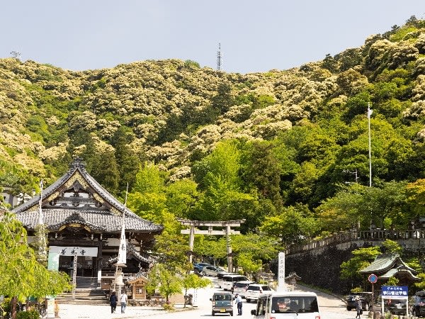 [Gifu] Day drive trip from Nagoya!Fresh green Inaba Shrine and a cafe along the Nagara River