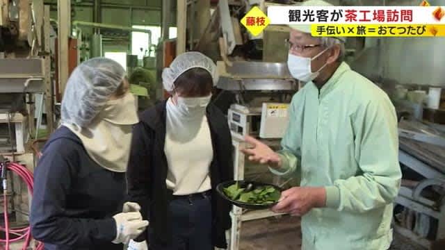 "Otetsu-tabi" tourists who enjoy traveling and helping out learn the manufacturing process at a tea factory and experience cleanup Shizuoka Fujieda City