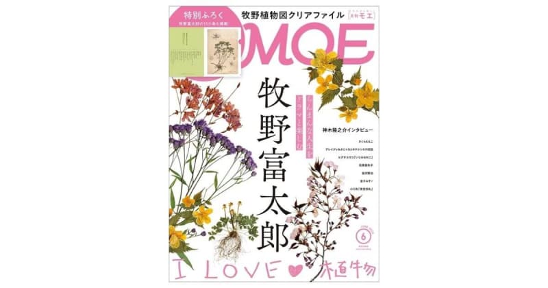 MOE 2023年6月号発売中！表紙＆巻頭特集は「牧野富太郎　I LOVE 植物」