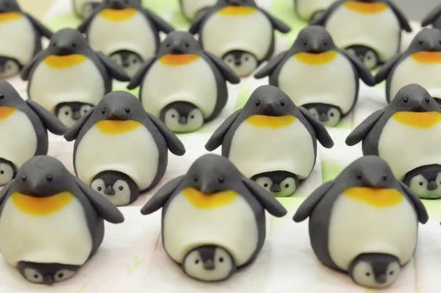 I want to stare until the expiration date!``Parent and child penguins'' in Japanese sweets