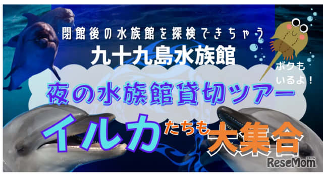 Kujukushima Aquarium Umi Kirara, night online tour 5/19