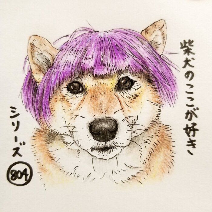 There is a Shiba Inu, when I suddenly see it, I think "I look like someone!?"