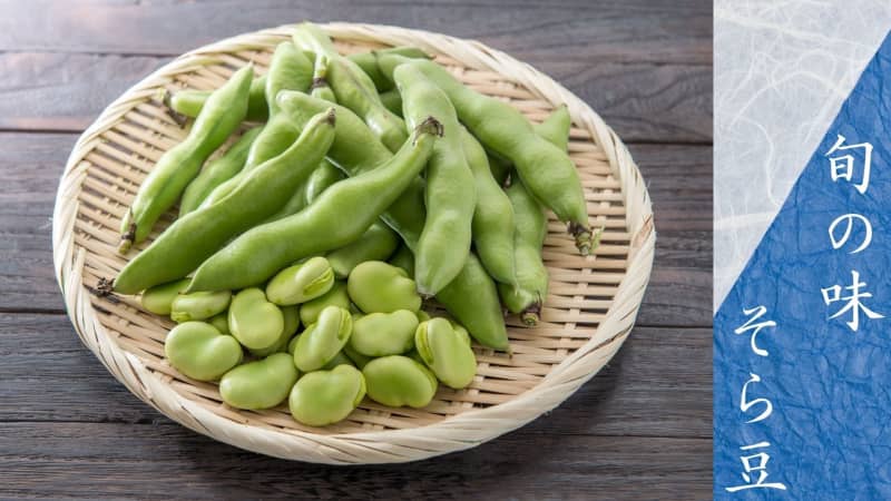 Broad beans are in season now!Introducing how to store, boil, and recipes for bean rice