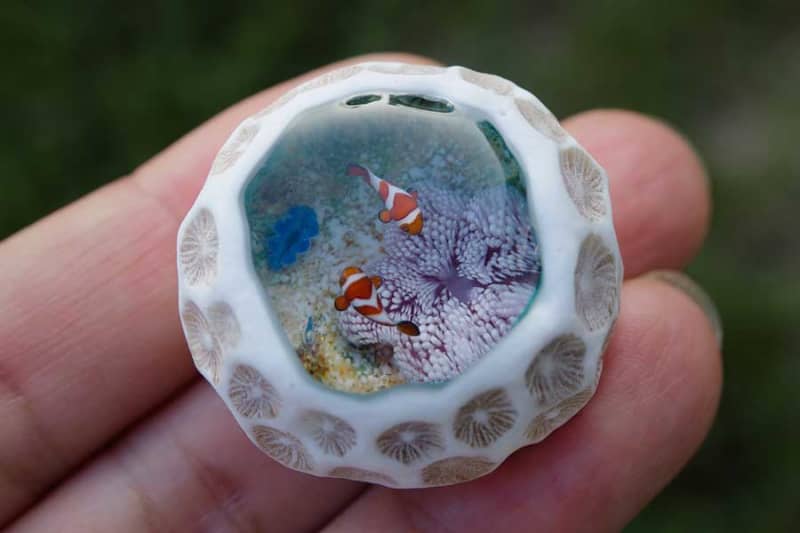 "There is the sea on the finger" Impressed by the world view of "Micro Atoll" expressed in a coral stone of only 3 centimeters