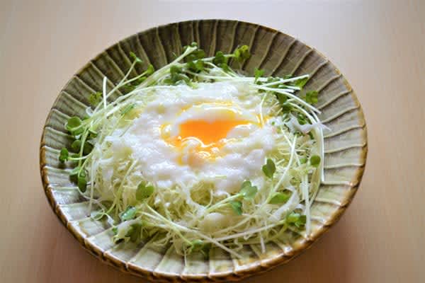 Cabbage powers up the stomach and is highly effective against bad breath [Medicine meals for the elderly that are useful for healthy longevity]