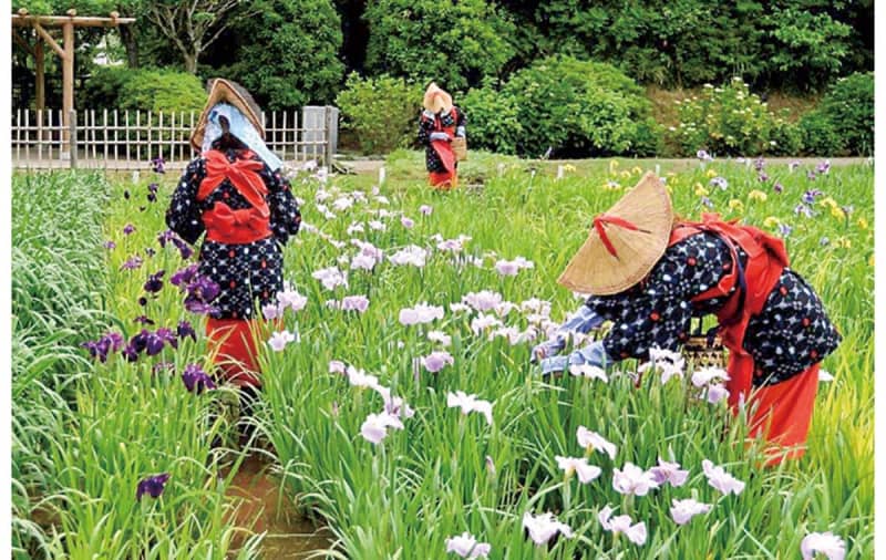 Photo exhibition at Kanakku Hall May 23-29 Kohoku Ward, Yokohama City