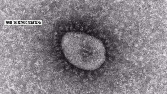"New coronavirus" slightly increased compared to before the transition to Category 5 Niigata Prefecture announced "infected person information" (May 5)