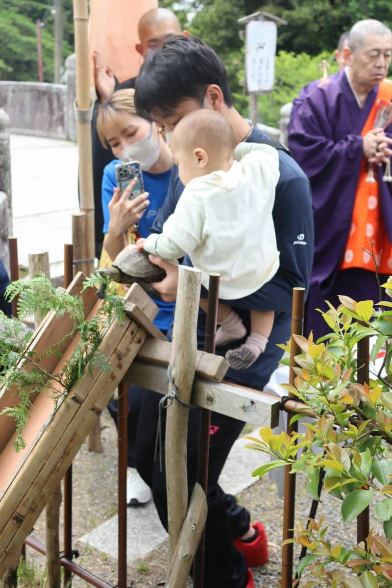 子どもの健康と成長願い、池に亀放つ　三井寺で千団子祭