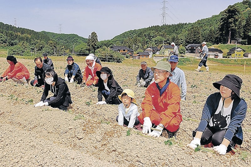 Transmitting the appeal of agriculture and local cuisine Nanto/Tsuchiyama, volunteers and seedling planting