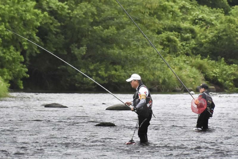 Sagami River and Nakatsu River Trial fishing for sweetfish before the ban is lifted in June What are the results?