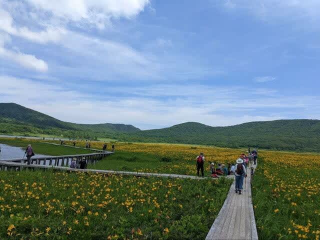 Paradise in the Sky "Summer Flowers" Superb View "Wetland Hiking" 4 Mountain Selections [Tohoku Edition]