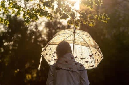 A must-have item for the rainy season!3 Recommended Stylish Umbrellas