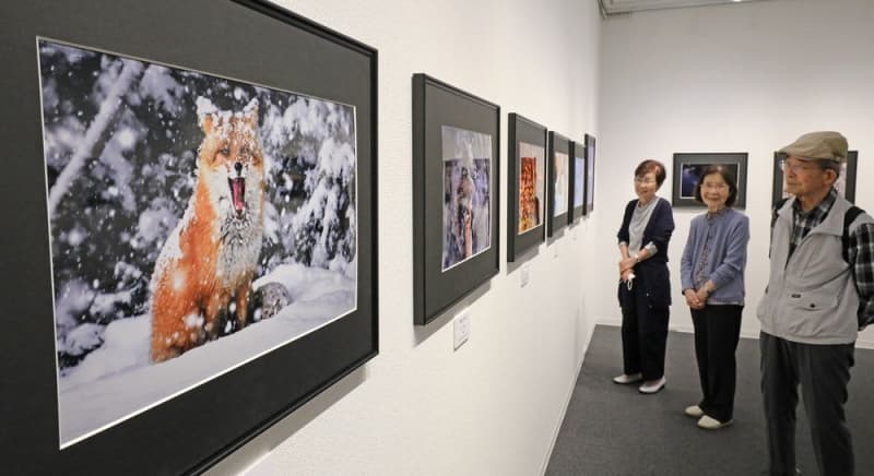 A photo exhibition of Doshin Bunka Center students in Sapporo