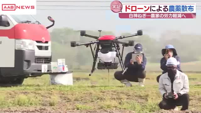 Pesticide spraying with drone Demonstration test to reduce labor force of ``Shirakami green onion'' farmers whose production scale is expanding Noshiro City, Akita