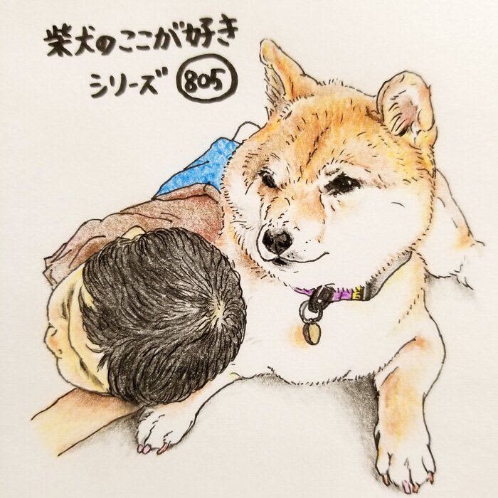 There is a Shiba Inu, and it is tolerant to small children who are spoiled |