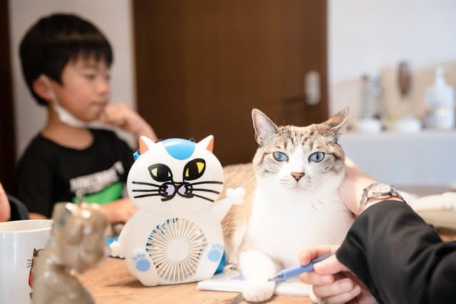 When you press the switch, "Meow!" The cat-shaped fan is a collaboration between elementary school brothers who love cats.