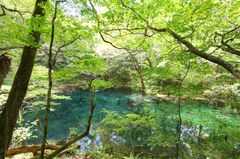 [Domestic travel destinations in May's best season] Otaru "Blue Cave" cruising, Aomori Prefecture "Aoike" hiking, Ishikawa ...
