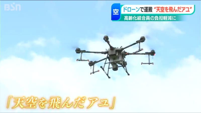 3000 “Ayu that flew in the sky” juveniles were “released” by drone Tokamachi City, Niigata Prefecture