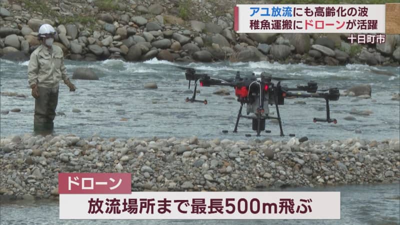 Ayu juveniles to be transported and released by "drone" In the background is the aging of the fishery cooperatives... [Niigata]