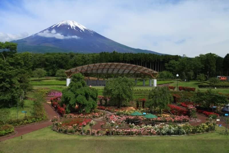 [Gotemba Rose Festival] 1500 roses with Mt.Fuji in the background Free admission and fun events!