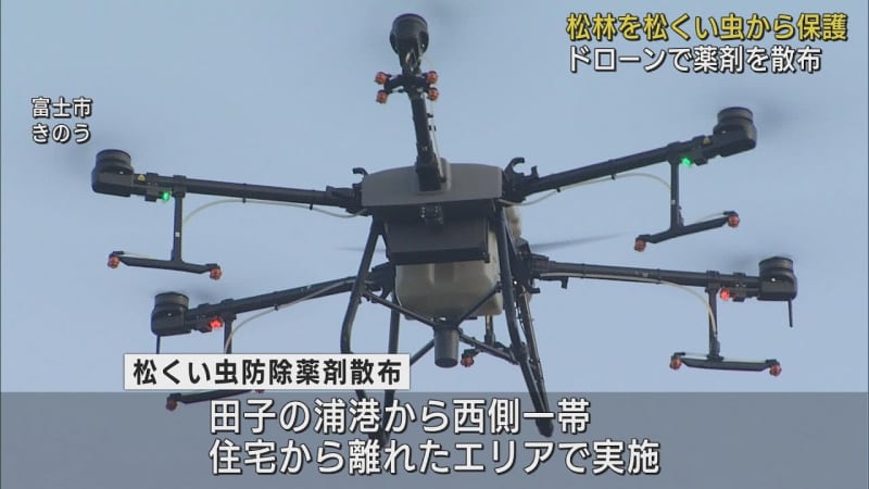 Spraying pesticides with drones to protect pine forests With drones, you can get close to individual pine trees and spray them Shizuoka/Fuji City
