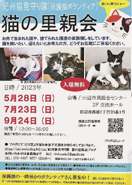 "Kishu Neko Watching Corps" Formed, Rescue Cat Activities in Southern Wakayama Prefecture, Adoption Event on 28th