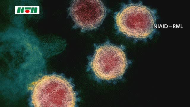 ⚡｜【速報】感染報告は前週から倍増…長崎県内の新型コロナウイルス週報