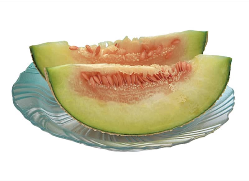 Present "Atsugi Melon" for XNUMX readers Atsugi City, Aikawa Town, Kiyokawa Village