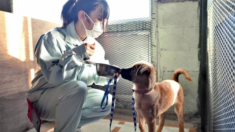 High school club activity "Dog Club" struggles to breed rescued dogs "I want to save lives" Seeking cages and consumables, Ogaki Yoro High School in Gifu