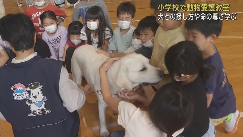 犬との接し方を学ぶことで動物の命を大切にする心を育てる・動物愛護教室　静岡・富士宮市立貴船小学校