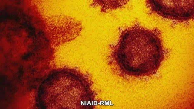 [New Corona Infection Weekly Report] Infection reports in Okayama Prefecture increased from the previous week XNUMX people per fixed point [Okayama]