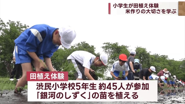 Elementary school students learn the importance of rice planting [Iwate/Morioka City]