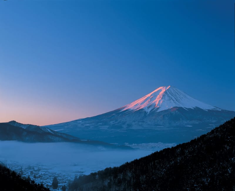【山梨】富士山麓に来たら絶対飲むべきビール「富士桜高原麦酒 」とは？？